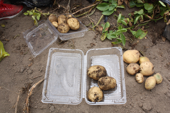 ��Ŭ���� ���� �ٿ�ε�